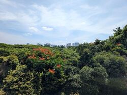 Bukit Batok Central (D23), Condominium #541106181